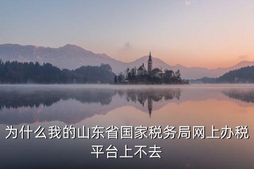 為什么登陸不了網(wǎng)上辦稅廳，為什么我的山東省國家稅務局網(wǎng)上辦稅平臺上不去