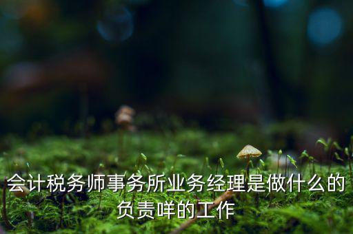 稅務(wù)師事務(wù)所做什么的，稅務(wù)所是干什么的