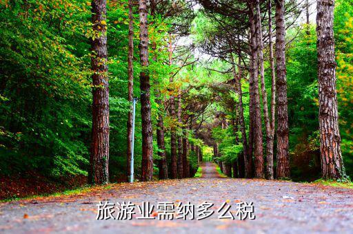 旅游業(yè)是什么稅，旅游行業(yè)需要交納什么稅呢