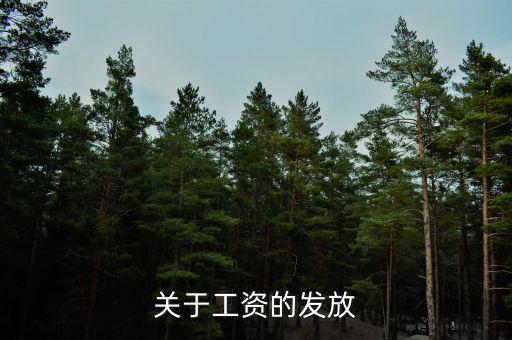 為什么沒有稅務帽，跑跑卡丁車怎么玩