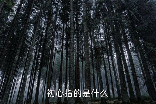 稅務人 初心是什么，納稅人意識是什么謝謝