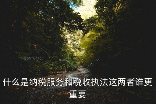 什么是納稅服務(wù)，什么是納稅服務(wù)和稅收執(zhí)法這兩者誰更重要