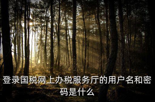 國稅網(wǎng)上登錄密碼是什么意思，國稅第一次網(wǎng)上申報的登陸密碼是什么