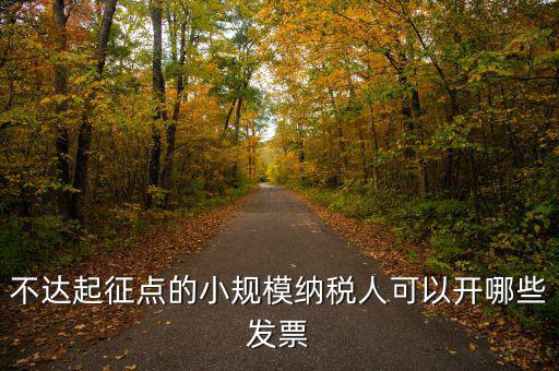小規(guī)模納稅人能使用什么發(fā)票，建筑類小規(guī)模納稅人購買什么發(fā)票