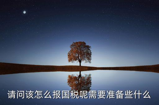 請(qǐng)問該怎么報(bào)國(guó)稅呢需要準(zhǔn)備些什么