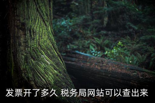 稅局一般什么時(shí)候查發(fā)票，增值稅發(fā)票開多久能在國家稅務(wù)局查到