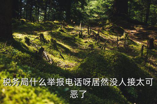 什么叫稅務(wù)舉報(bào)，稅務(wù)局什么舉報(bào)電話呀居然沒人接太可惡了