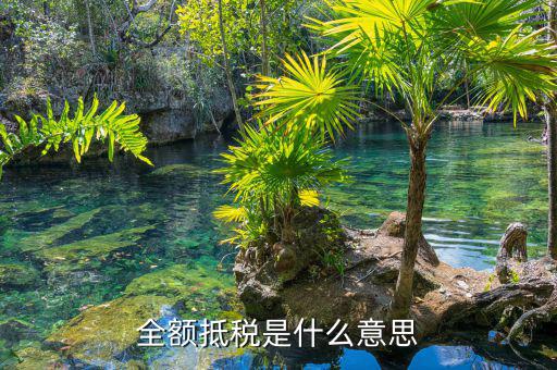 什么叫全額抵p，增值稅的全額抵扣是什么意思