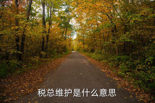 涉稅軟件維護(hù)費是什么東東，稅總維護(hù)是什么意思