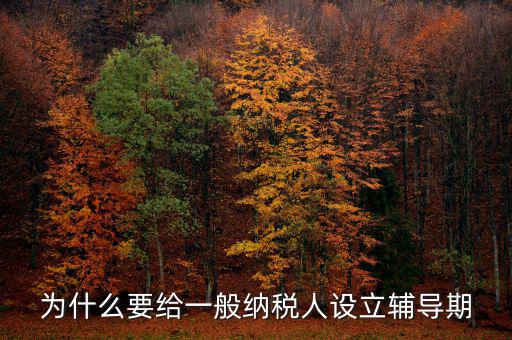 為什么增值稅輔導(dǎo)期，什么是輔導(dǎo)期一般納稅人