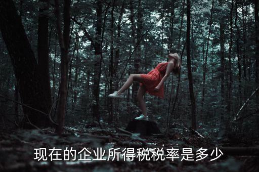 現在的企業(yè)所得稅稅率是多少