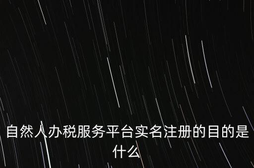 自然人辦稅服務平臺實名注冊的目的是什么