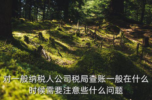 一般地稅稽查會(huì)在什么時(shí)候，稅務(wù)局什么時(shí)候會(huì)查賬不申報(bào)有哪些后果