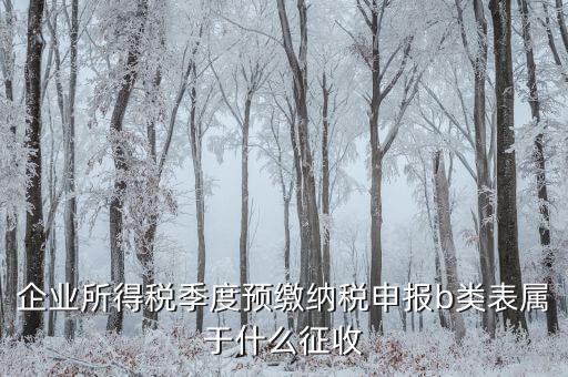 所得稅b類按什么征收，企業(yè)所得稅季度預(yù)繳納稅申報(bào)b類表屬于什么征收