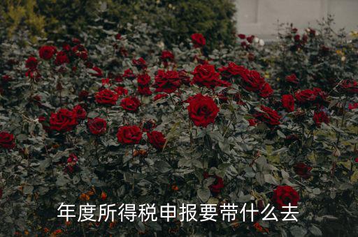 納稅申報(bào)應(yīng)帶什么東西，你好 到稅務(wù)局報(bào)稅需要帶什么東西怎么報(bào)