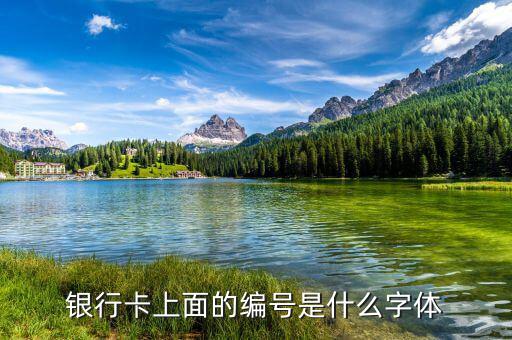 中國(guó)銀行數(shù)字字體是什么，中國(guó)銀行的標(biāo)是什么字體啊