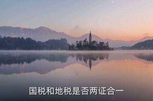 國稅的兩證合一是什么意思，國稅和地稅是否兩證合一