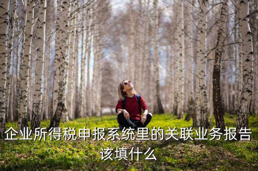 什么情況寫關(guān)聯(lián)申報，企業(yè)所得稅申報系統(tǒng)里的關(guān)聯(lián)業(yè)務(wù)報告該填什么