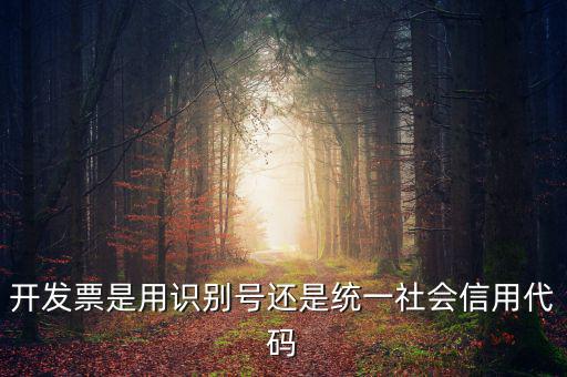 發(fā)票填寫統(tǒng)一社會(huì)代碼是什么，開發(fā)票要的稅號(hào)是統(tǒng)一社會(huì)代碼證號(hào)嗎