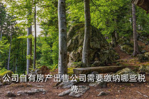 銷售房產(chǎn)公司交什么稅，銷售房產(chǎn)繳納什么稅