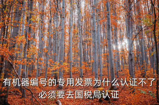 有機(jī)器編號(hào)的專(zhuān)用發(fā)票為什么認(rèn)證不了必須要去國(guó)稅局認(rèn)證