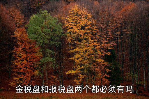 申報(bào)盤是什么，保險(xiǎn)兼業(yè)代理人資格申報(bào)電腦數(shù)據(jù)盤是什么意思