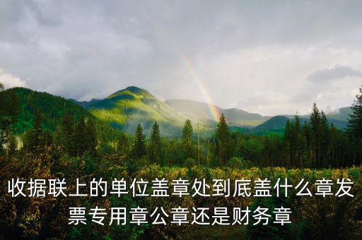 收據聯(lián)上的單位蓋章處到底蓋什么章發(fā)票專用章公章還是財務章