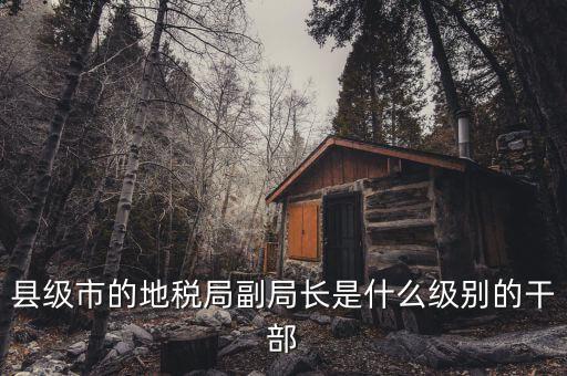 地稅局副局什么級別，縣級市的地稅局副局長是什么級別的干部