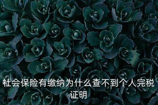 為什么查不到納稅記錄，社會保險有繳納為什么查不到個人完稅證明
