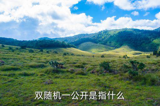 稅務(wù)雙隨機一公開是什么意思，雙隨機一公開屬于什么用語比如習(xí)語標語或者成語之類的因為