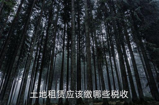 土地租賃需要交什么稅，土地租賃應(yīng)該繳哪些稅收