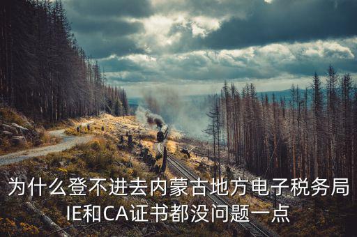 為什么ca登不了電子稅務(wù)局，國稅數(shù)字證書登陸失敗請問什么原因