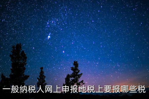地稅都申報(bào)什么，一般納稅人網(wǎng)上申報(bào)地稅上要報(bào)哪些稅