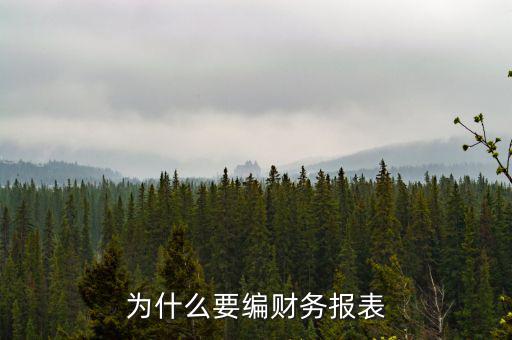 為什么要申報財務報表，為什么要編財務報表