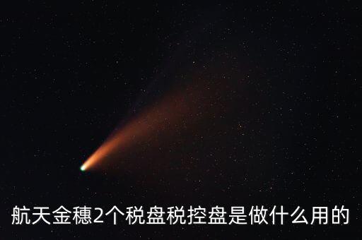 開票軟件兩盤是什么，第二個金稅盤裝開票軟件裝不了也沒有完全安裝這一步啥意思