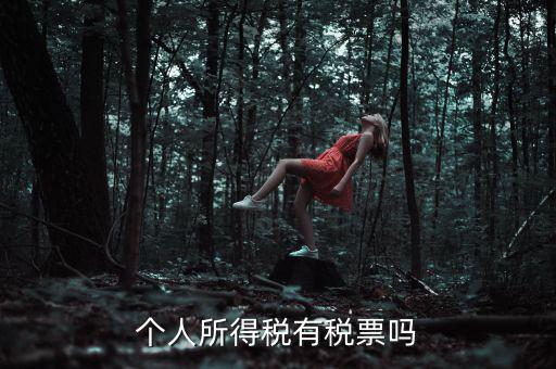 個人所得稅是什么發(fā)票，個人所得稅有稅票嗎