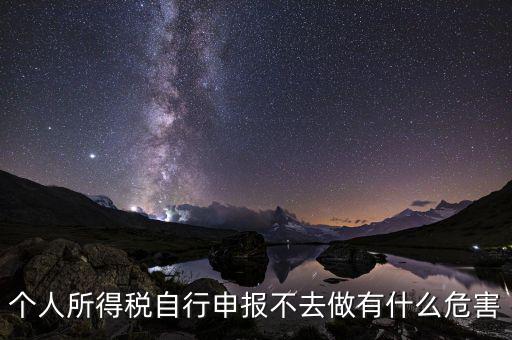 個稅不申報有什么后果，個人所得稅自行申報不去做有什么危害