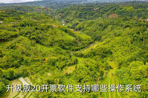 開票軟件適用什么系統(tǒng)，有沒有適合電商用的發(fā)票處理系統(tǒng)