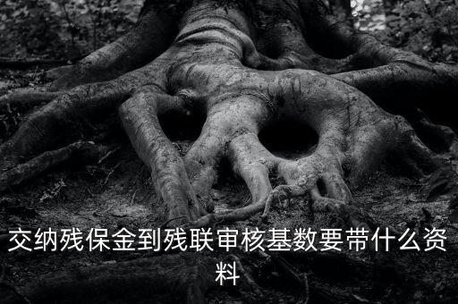 去稅務(wù)申報殘保金帶什么資料，去地稅交殘疾人保障金需要什么資料