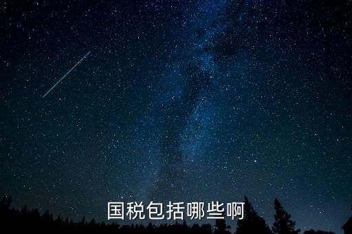 國(guó)稅涵蓋什么，國(guó)稅包括哪些啊