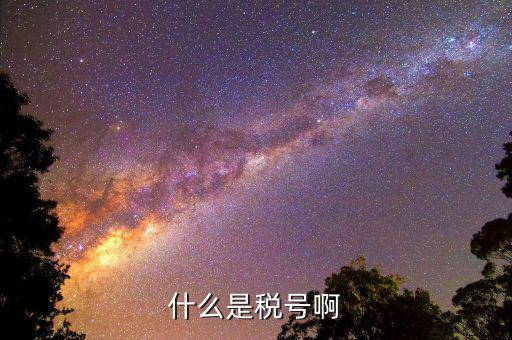 公司稅號(hào)是什么，公司的稅號(hào)一般有多少位