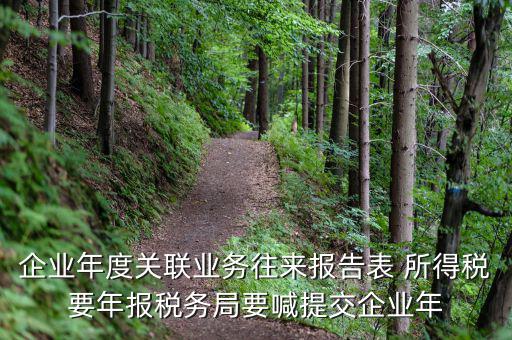 國稅關(guān)聯(lián)表是什么意思，所得稅中關(guān)聯(lián)關(guān)系是什么意思