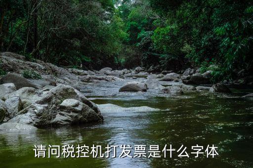 發(fā)票用什么字體，請(qǐng)問(wèn)稅控機(jī)打發(fā)票是什么字體