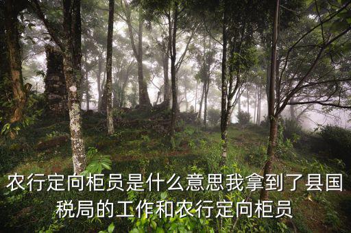 國稅值班是什么意思，農(nóng)行定向柜員是什么意思我拿到了縣國稅局的工作和農(nóng)行定向柜員