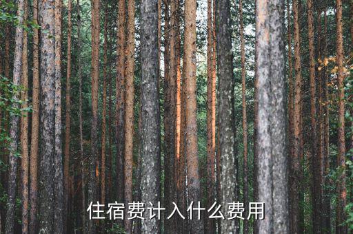 員工住宿費(fèi)計(jì)入什么科目，請問住宿費(fèi)和餐費(fèi)報(bào)銷會計(jì)分錄是什么