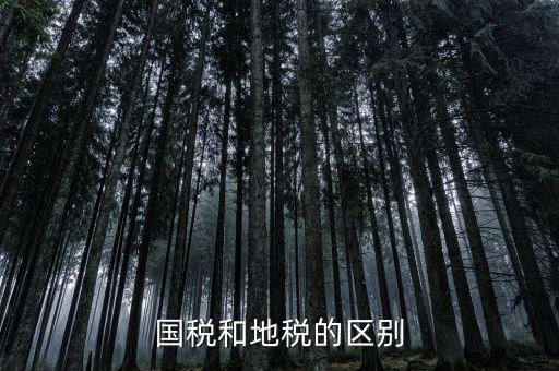 稅務(wù)和地稅什么區(qū)別，國稅和地稅的區(qū)別