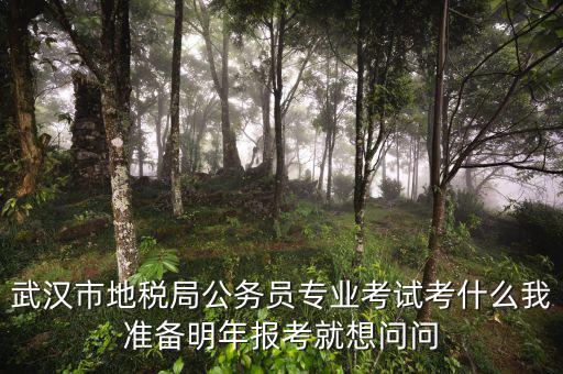 省地稅局復(fù)試考什么，武漢市地稅局公務(wù)員專業(yè)考試考什么我準(zhǔn)備明年報考就想問問