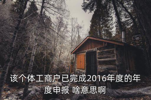 個體戶申報是什么意思，該個體工商戶已完成2016年度的年度申報 啥意思啊