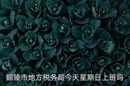 銅陵地稅局在什么地方，銅陵市地方稅務(wù)局今天星期日上班嗎
