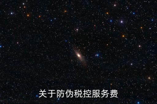關(guān)于防偽稅控服務費